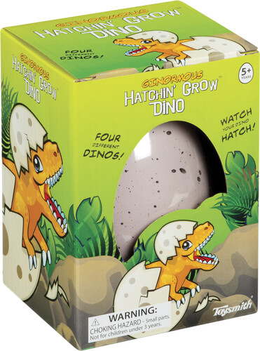Toysmith Dinosaure dans un oeuf grossissant 085761085381