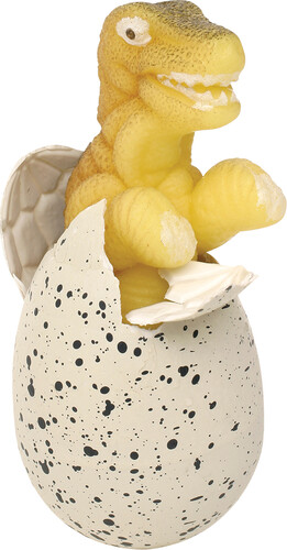 Toysmith Dinosaure dans un oeuf grossissant 085761085381