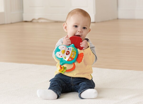 VTech VTech Hochet P'tit pingouin (fr) 3417761656051