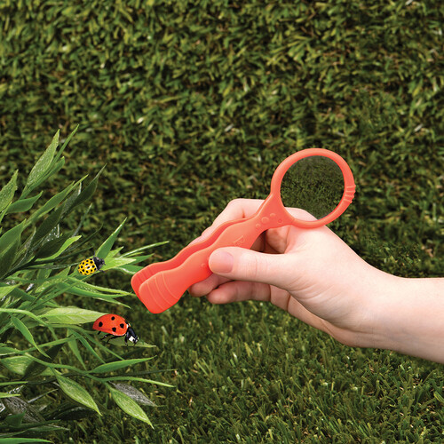 B. Brand B. Active - Cage à insectes (bocal) dôme de luxe (Tiki Retreat) 062243330535