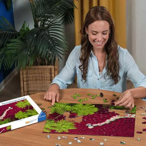 Ravensburger casse-tête Casse-tête 500 Un océan de rouge 4005555017073