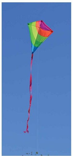 Premier Kites Cerf-volant monocorde Losange 25" borealis néon 630104152123