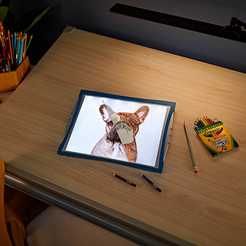Crayola Tablette à tracer lumineuse 063652887504