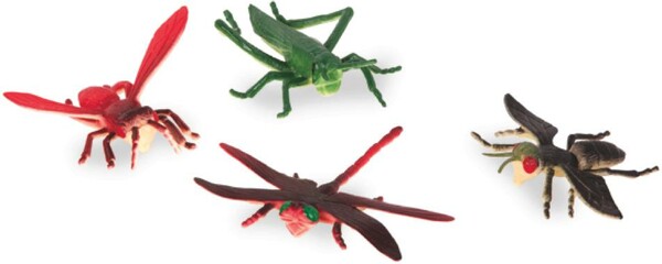 Terra Terra Insectes en tube 062243341944