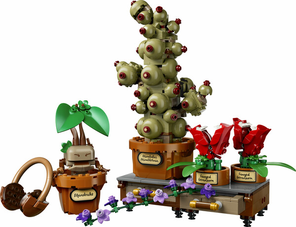 LEGO LEGO 76474 Hogwarts Herbology Plants 673419423007