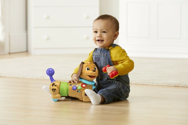 VTech VTech Maxou mon chien filou (fr) 3417765227059