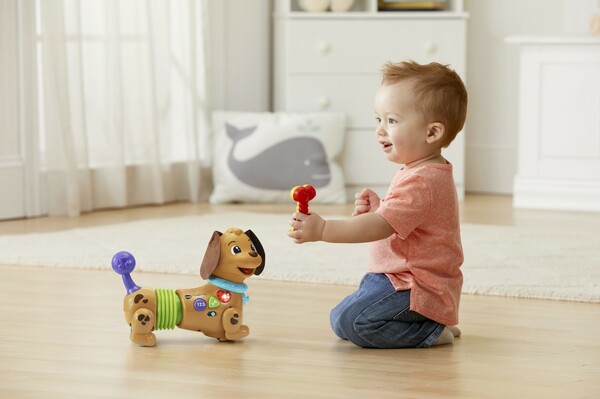 VTech VTech Maxou mon chien filou (fr) 3417765227059