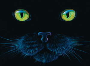 SunsOut Casse-tête 1000 Tête de chat noir (Black Cat) SunsOut 63346 796780633469