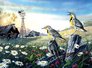 SunsOut Casse-tête 1000 Oiseaux sur la clôture de la ferme abandonnée (Meadow Outpost) SunsOut 71131 796780711310
