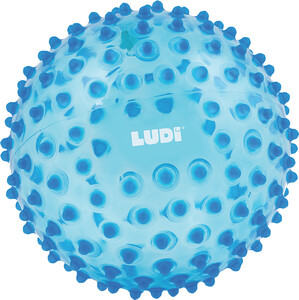LUDI Balle sensorielle Bleue 3550839227958