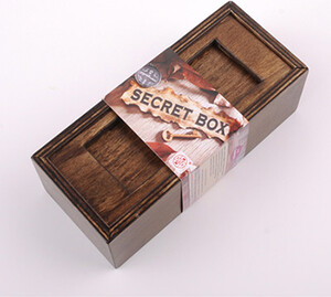 Mind Matters Toys Boitier secret / boîte secrète #3 brun 067233201031