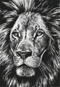 Kiub Carte fête Lion sans texte 5035268433913