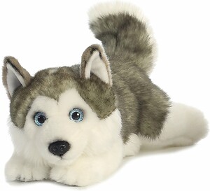 Aurora Husky couché 11" 092943262638