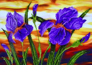 Diamond Dotz Broderie Diamant - Iris au coucher du soleil (Iris Sunset) (Diamond Painting, peinture diamant) 4897073243665