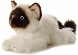 Aurora Chat birman bella 12" 092943311121