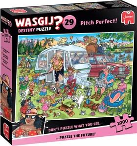 Jumbo Casse-tête 1000 Wasgij Destiny #29 L'emplacement parfait 8721017602866
