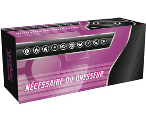 Pokémon Pokemon french trainer's toolkit 2025 (6) 196214117730