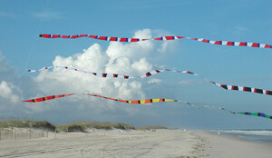 Premier Kites Cerf-volant accessoire queue de transition 50' arc-en-ciel (Rainbow) 630104991715