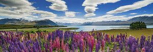 Heye Casse-tête 1000 Panoramique Lac Tekapo, Nouvelle-Zélande (Lake Tekapo), Alexander von Humboldt, panorama 4001689299026