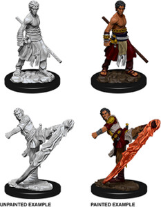 NECA/WizKids LLC Dnd unpainted minis wv10 male half-elf monk 634482738382