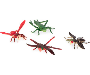 Terra terra - insectes en tube 062243341944