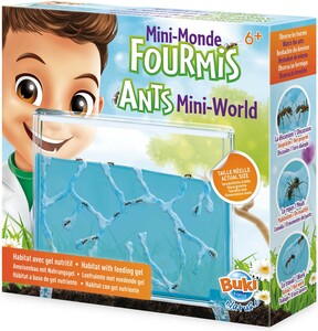 Buki Mini-monde des fourmis 3700802101628