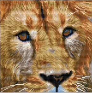 Diamond Dotz Broderie Diamant - lion Serengeti (Diamond Painting, peinture diamant) 4895225915033