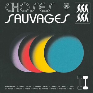 Musique Label Divers Choses Sauvages - Choses sauvages II -vinyl 196292238945
