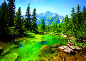 Trefl Casse-tête 500 montagnes Tatras, Pologne/Slovaquie 5900511371178