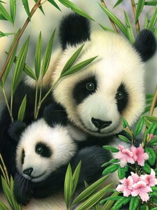Royal & Langnickel Peinture à numéro junior panda et son petit 22.5x29.5cm 090672056825