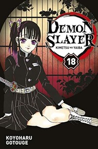 Panini Demon Slayer (FR) T.18 9782809498103