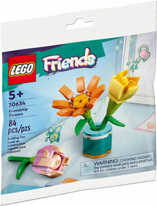 LEGO LEGO 30634 Les fleurs de l’amitié 673419371223