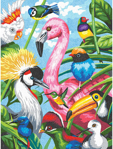 Dimensions PaintWorks Dessin à numéros oiseaux tropicaux 9x12" 91497 088677914974