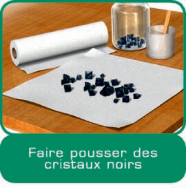 Ravensburger Science X cristaux et pierres précieuses (fr) 4005556188826