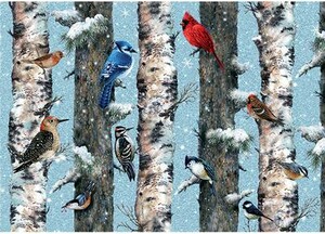 Piatnik Casse-tête 1000 Les oiseaux l'hiver 9001890551444