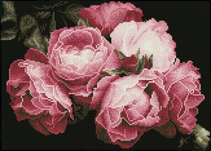 Diamond Dotz Broderie diamant Square - roses millésimées (Diamond Painting, peinture diamant) 4895225924721