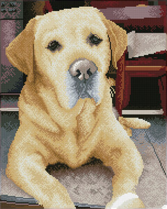 Diamond Dotz Broderie diamant Square - Portrait de Labrador (Diamond Painting, peinture diamant) 4895225926312