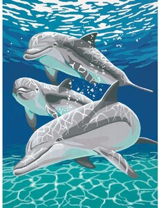 Dimensions PaintWorks Peinture à numéro Dauphins au soleil 9x12" 91326 088677913267