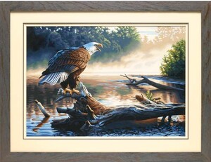 Dimensions PaintWorks Peinture à numéro Aigle à la chasse 20x14" 91379 088677913793