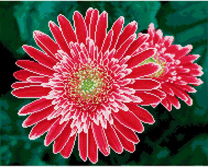 Diamond Dotz Broderie diamant Square - Pink Gerberas (Diamond Painting, peinture diamant) 4895225917938