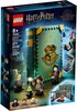 LEGO LEGO 76383 Poudlard : le cours de potions 673419339711