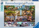 Ravensburger Casse-tête 2000 Aimee Stewart : Magnifique monde animal 4005556166527