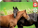 Casse-tête 200 chevaux 8412668186088