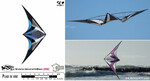 R-Sky Cerf-volant acrobatique - nirvana se 