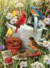 Royal & Langnickel Peinture à numéro junior oiseaux dans le jardin 22.5x29.5cm 090672077189