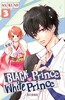 Soleil Black Prince & White Prince (FR) T.03 9782302062474