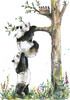 Kiub Carte fête Panda sans texte 5035268431711