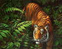 Figured'Art Peinture à numéro Peinture à numéros sur canevas (Facile) -Tigre dans les fougères 678361113945
