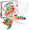colorizzy Peinture à numéro Colorizzy - Perruches (fr/en) 3373910045056