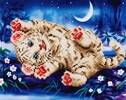 Diamond Dotz Broderie Diamant - Bébé tigre (Baby Tiger Roly Poly) (Diamond Painting, peinture diamant) 4897073240701